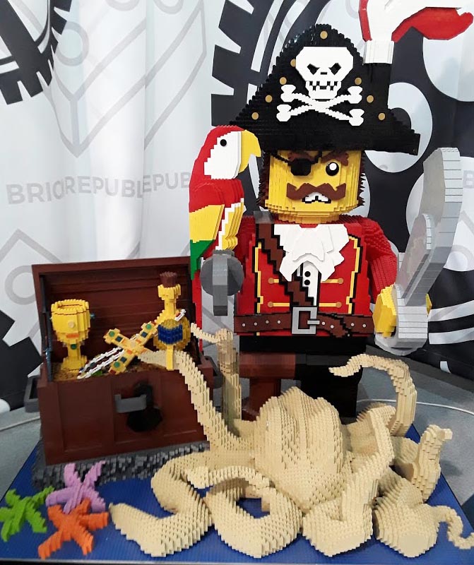 Pirate and octopus