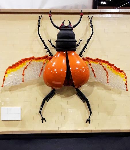 Best creature winner is a bug